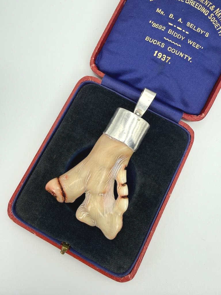 Vintage Impressive Coral Branch Sterling Pendant: Vintage Impressive Coral Branch Sterling Pendant mounted in sterling with bail. Measuring approximately 3.25 inches including bail.