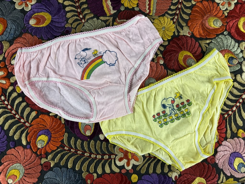 2 Pair Vintage 1960s Snoopy Peanuts Underwear: 2 Pair Deadstock NOS New Old Stock Vintage 1960s Snoopy Peanuts Underwear. 2 pair total, both printed on front with Snoopy and Woodstock. Both marked size L. Elastic at waist and leg holes. Measures 2
