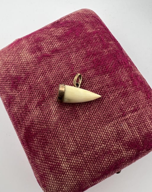 Antique 19th C Mounted Tooth Pendant / Charm (1 of 7)