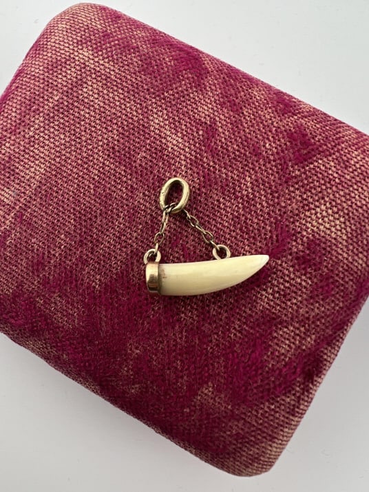 Antique 19th C Mounted Tooth Pendant / Charm (1 of 6)