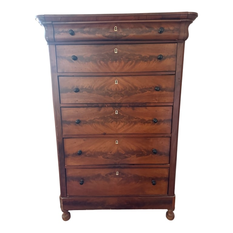 Antique 19th C Chest w Carved Bone Escutcheons (1 of 10)
