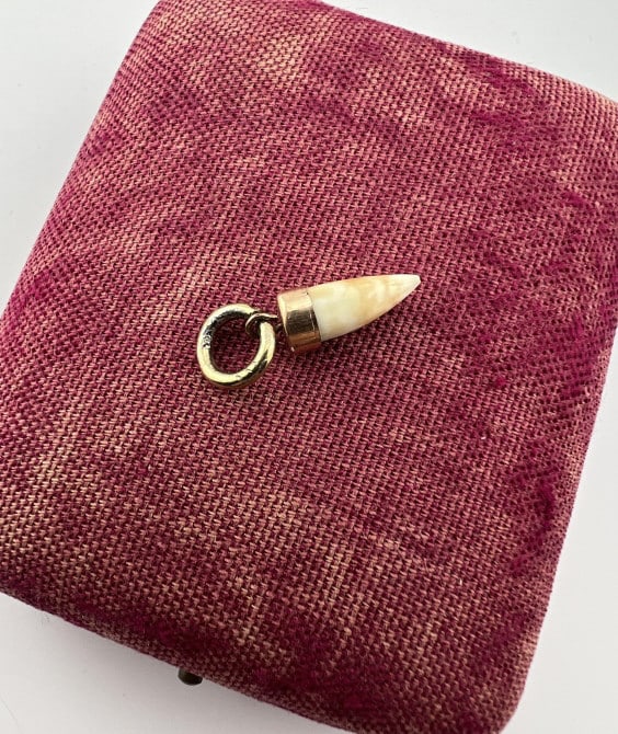 Antique 19th C Tooth Necklace Pendant or Fob: Antique 19th C Tooth Necklace Pendant or Fob. Antique Victorian era mounted tooth pendant or charm. Measures just under 1 inch in length.