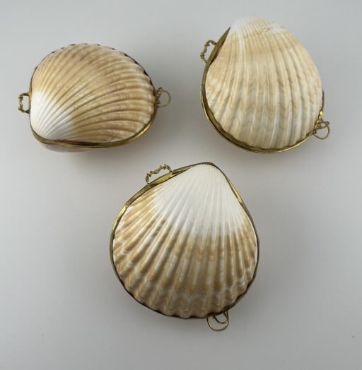 Collection Three Boxes Made w Natural Sea Shells (1 of 6)