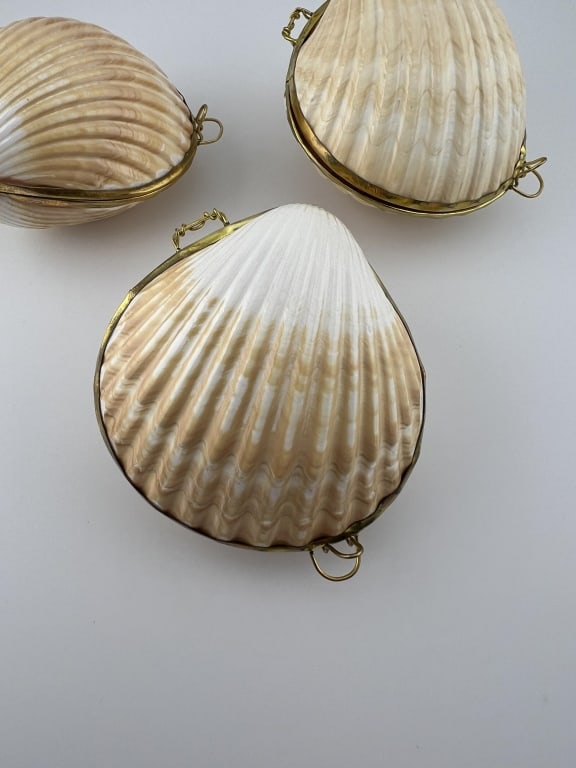 Collection Three Boxes Made w Natural Sea Shells - 2