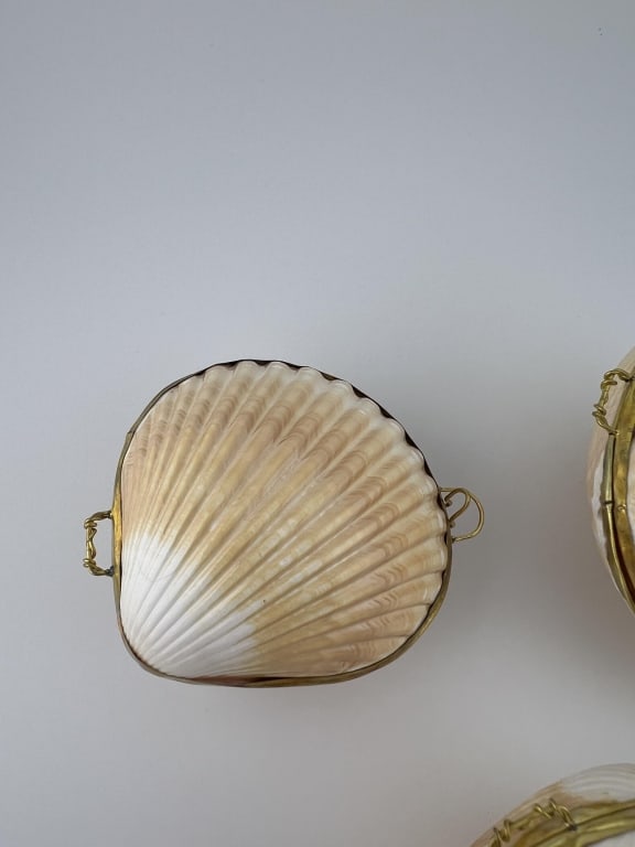 Collection Three Boxes Made w Natural Sea Shells - 3