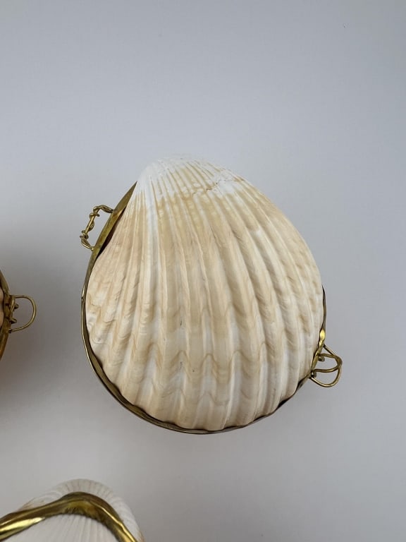Collection Three Boxes Made w Natural Sea Shells - 4