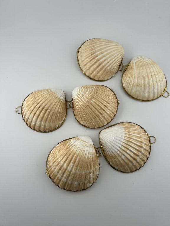 Collection Three Boxes Made w Natural Sea Shells - 6