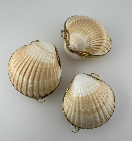Collection Three Boxes Made w Natural Sea Shells (1 of 6)