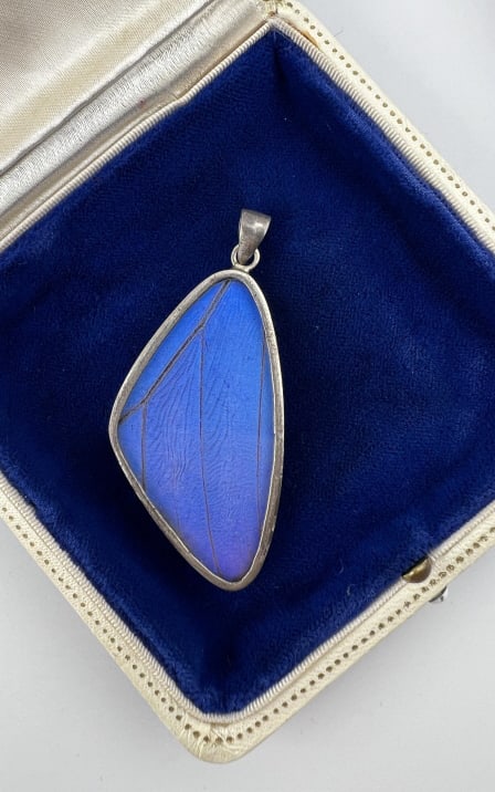Vintage Sterling & Natural Butterfly Wing Pendant (1 of 5)
