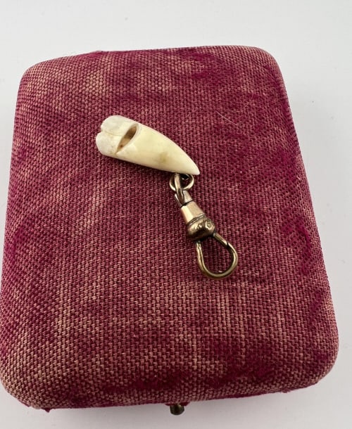 Antique 19th C Tooth Necklace Pendant w Dog Clip (1 of 3)