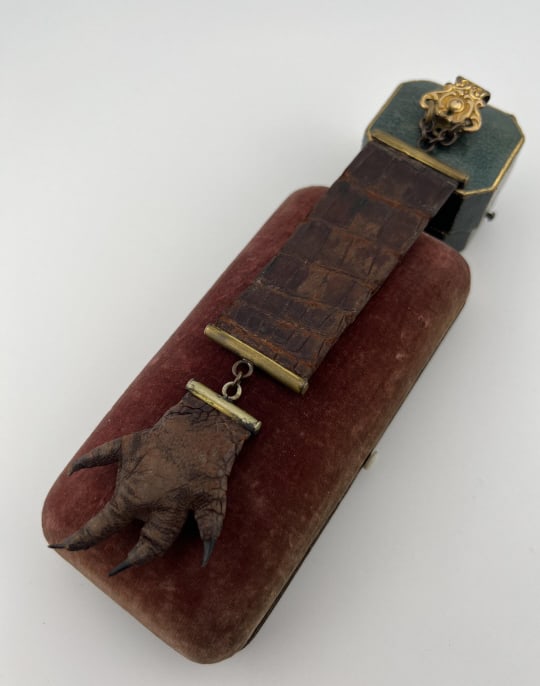 Antique 19th C Taxidermy Reptile Watch Fob Ribbon (1 of 8)