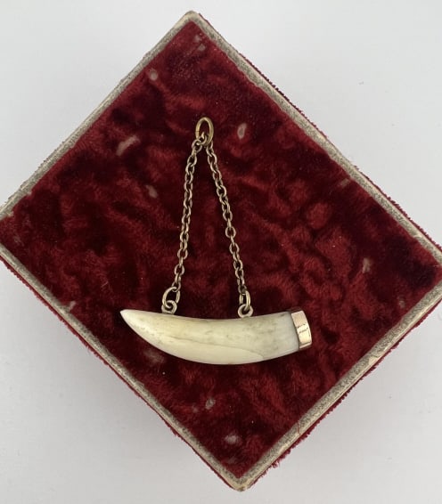 Antique 19th C Tooth Mount Pendant or Fob (1 of 5)