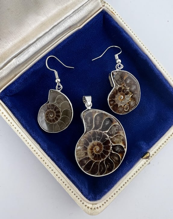 Ammonite Fossil Jewelry Set Necklace & Earrings: Ammonite Fossil Jewelry Set Necklace & Earrings. Three ancient ammonite fossils mounted as a necklace pendant and a pair of earrings. Pendant measures just over 1.75 inches in length, earrings measure