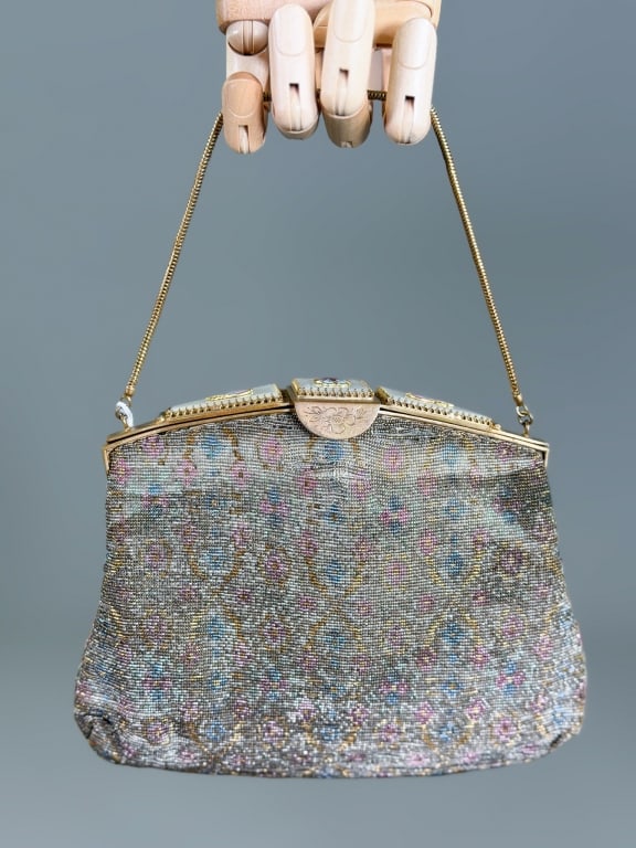 Antique Beaded Mother of Pearl Enamel Bag (1 of 7)