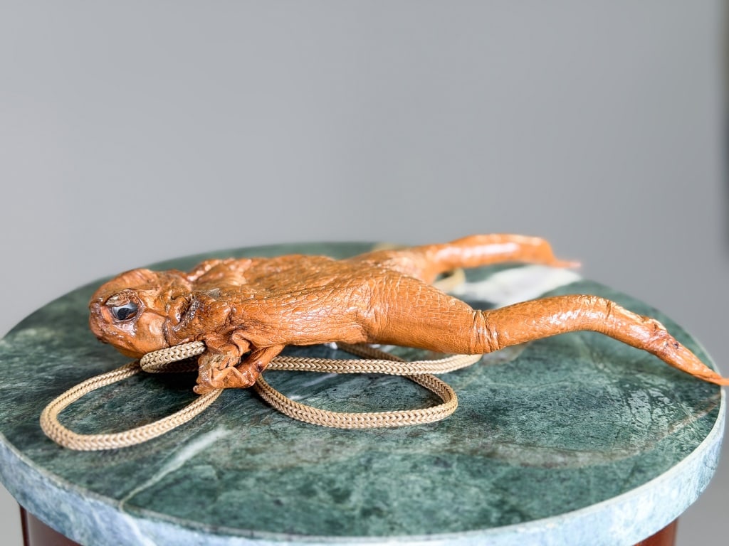 Vintage Taxidermy Frog Purse Bag: Vintage Taxidermy Frog Purse Bag having zippered closure with cross body strap. Measuring approximately 9.5 inches long. From the lifetime collection, fashion archive and business inventory of collect