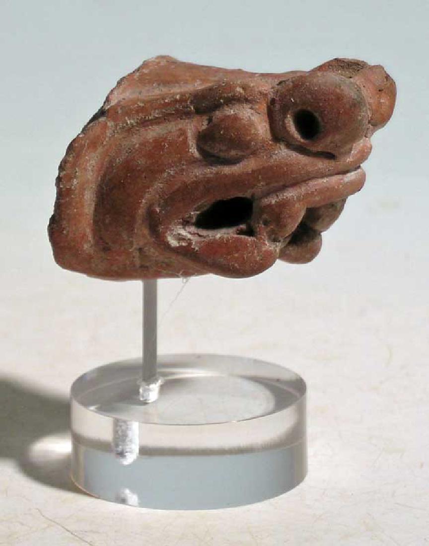 An unusual head fragment from Costa Rica (1 of 2)