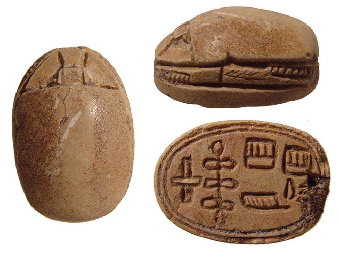Egyptian steatite scarab, 2nd Intermediate Period (1 of 1)