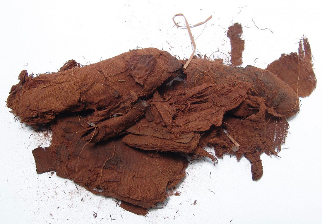 An Egyptian mummified catfish, Graeco-Roman (1 of 2)