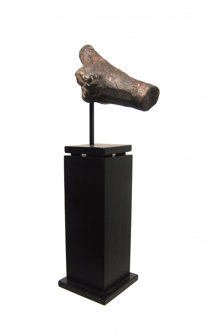 A nice Vinca culture ceramic horse head (1 of 8)