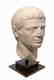 Choice Roman marble head of a man, Julio-Claudian - 2