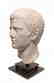 Choice Roman marble head of a man, Julio-Claudian - 4