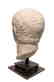 Choice Roman marble head of a man, Julio-Claudian - 5
