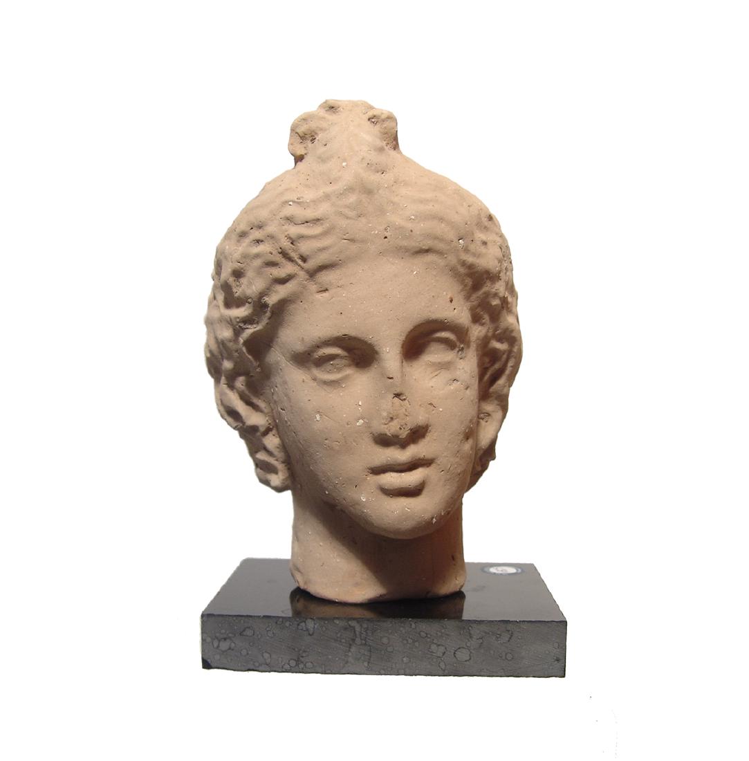 A Graeco-Roman terracotta head of a youthful male (1 of 5)