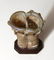 Roman pale green glass double unguentarium - 4