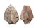 Polychrome heads from saintly or demon figures