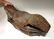 Spectacular complete Woolly Rhinoceros skull fossil - 8