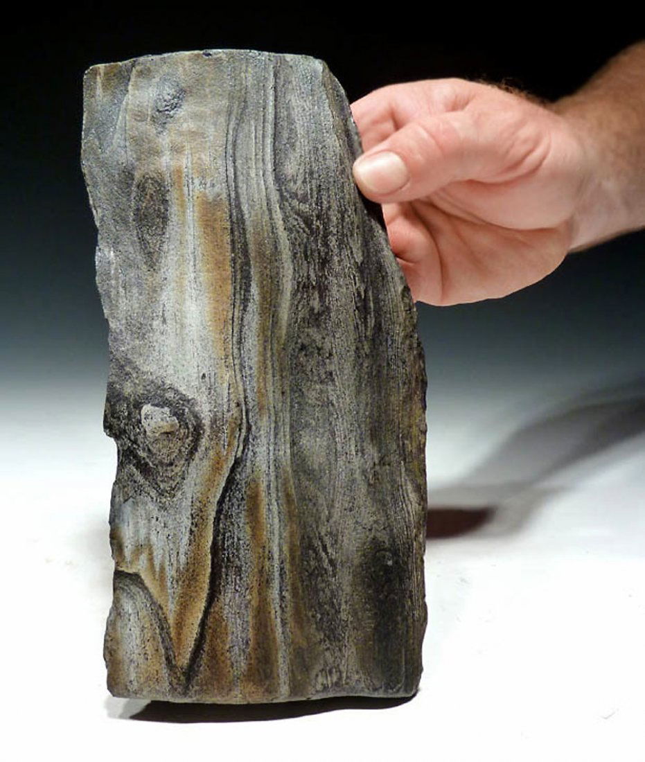 Colorful, naturally petrified wood log, Miocene Period (1 of 9)