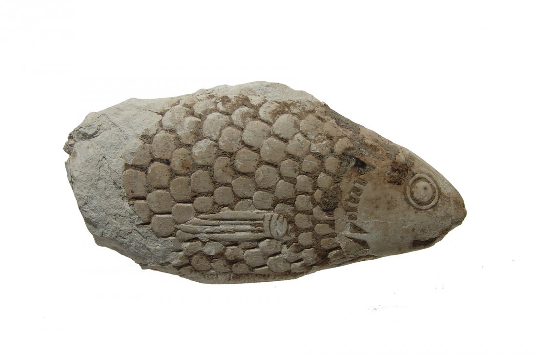 An Egyptian limestone model of a fish (1 of 3)