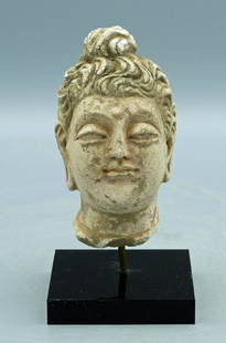 A lovely Gandharan stucco head: A lovely Gandharan stucco head, Indus Valley, c. 4th - 5th Century AD, well-detailed and masterfully carved from stucco depicting the Buddha. He is portrayed with a serene countenance, elongated ears