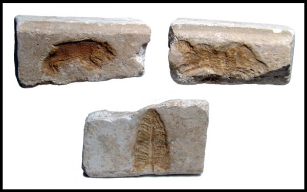 Lot of 3 Roman plaster molds for pottery: A lot of 3 plaster molds for pottery, Roman, 4th Century AD, one with a palm frond, L: 1 7/8" (4.8 cm), one with a leaping tiger, L: 2 ½" (6.4 cm), and another with a running boar, probably from a de