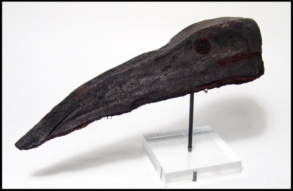 Roman Egypt. Cartonnage ibis head from a mummy: A cartonnage ibis head from a mummy, Roman Period, c.1st - 2nd Century AD, made from tightly molded linen soaked in resin. Very well modeled and very solid. Intact with some loss to outer coating of r