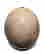 item-8250937=2