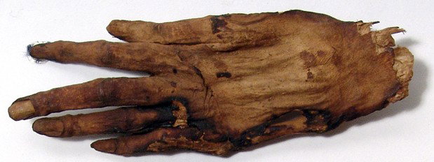 Mummified hand of "Cleopatra" with documentation