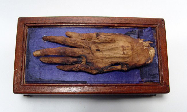 Mummified hand of "Cleopatra" with documentation - 3