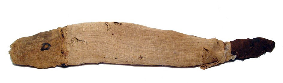 Nice Egyptian mummified fish, Late Period: A nice Egyptian mummified fish, Late Period, c. 664 - 30 BC, with wide, flat head and single dorsal fin. The body is entirely wrapped in fine linen, the eyes indicated with black paint. A coarser, bro