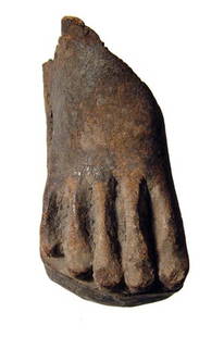 Wooden foot from Middle Kingdom figure, Egypt: A wooden foot from a Middle Kingdom standing figure, c. 1980 - 1630 BC, the toes nicely delineated. L: 2 3/4" (6.9 cm). Southern California collection.