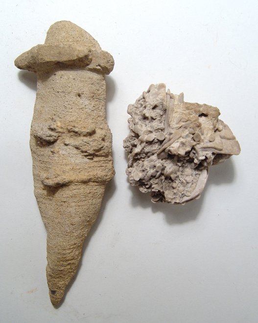 19th Century fragments from Sphinx & Pyramids: A pair of 19th Century fragments from the Sphinx & Pyramids. Lot includes a weathered limestone specimen with protruding fossil shells, collected at the Sphinx, W: 3" (7.6 cm). The second piece is a w