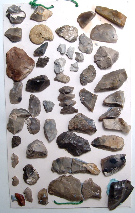 A lot of 51 European stone age tools: A lot of 51 European stone age tools, all mounted on a rectangular piece of card board via removable putty. Largest measures 2 3/8" (6.2 cm) in length. , Including a Fossil Fragment. Ex European priva
