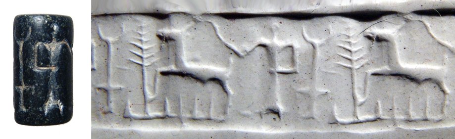 A Syrian black steatite cylinder seal: A Syrian black steatite cylinder seal, early 2nd Millennium BC, depicting a standing figure with a moon altar and sacred tree behind; a goat before. L: 20mm. Intact. Ex los Angeles private collection.