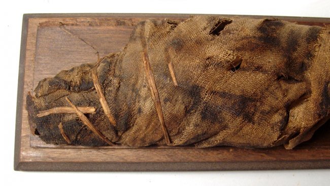 Nice Graeco-Roman mummified fish, Egypt: A Graeco-Roman mummified fish, Late Period, c. 664 - 30 BC, the body wrapped with linen and tied at the tail and head. L 12 1/4 in (31 cm). Some discoloration due to the resin preserving the body, wra