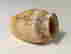 item-24093661=3