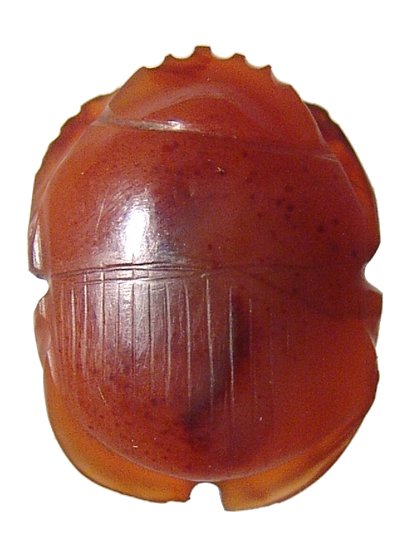 Lovely Egyptian carnelian naturalistic scarab: A lovely Egyptian carnelian naturalistic scarab, Late Period, c. 664 - 343 BC, handsomely carved with vertical lines on the elytra. Intact with original high polish and suspension loop on the middle o