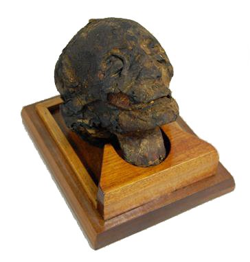 A wonderfully preserved head from an Egyptian Mummy: A wonderfully preserved head from an Egyptian Mummy, New Kingdom, c. 1570 - 1075 BC. The mummification technique used here exemplifies the finest traditions of New Kingdom procedures. The features of 