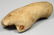 Roman marble right hand and forearm - 2