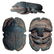Egyptian blue faience button scarab