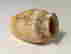 item-31408412=3